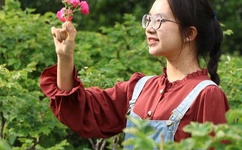 69无人区码二码三码七码